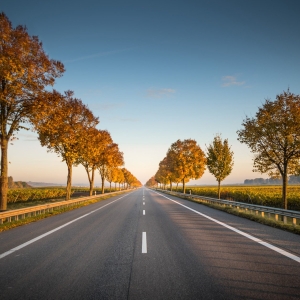 Etude de réhabilitation de 75km de routes classées de l'état dans les gouvernorats de Siliana et Kasserine